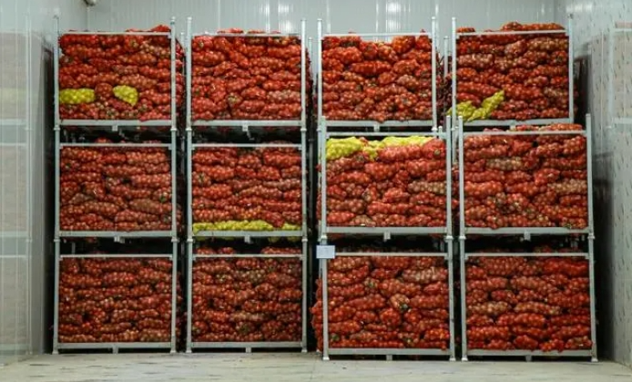 微信图片_20241012101544 微信图片_20241012101544