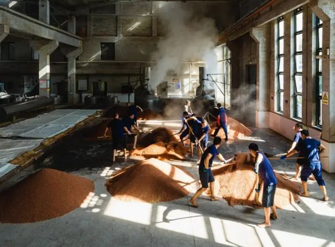 微信图片_20241011141139 微信图片_20241011141139