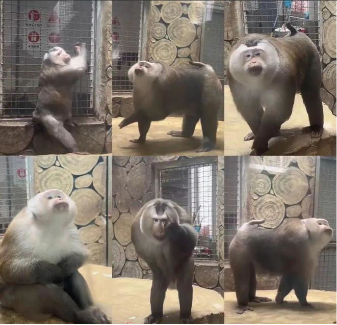 微信图片_20241029112002 微信图片_20241029112002