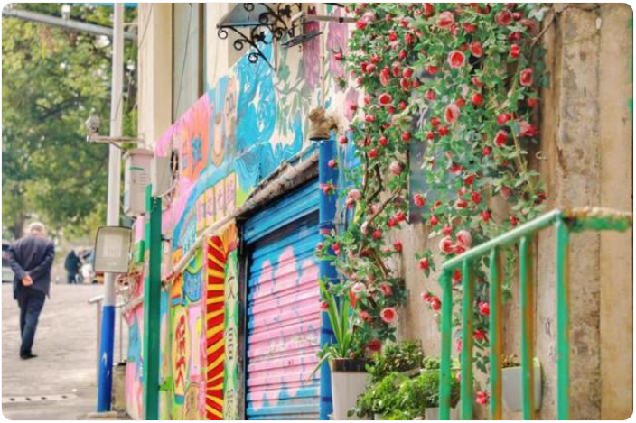 微信图片_20241205121517 微信图片_20241205121517