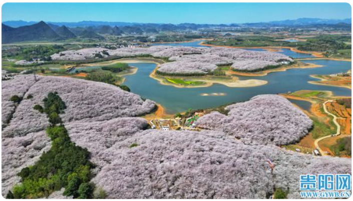 微信图片_20241227091133 微信图片_20241227091133