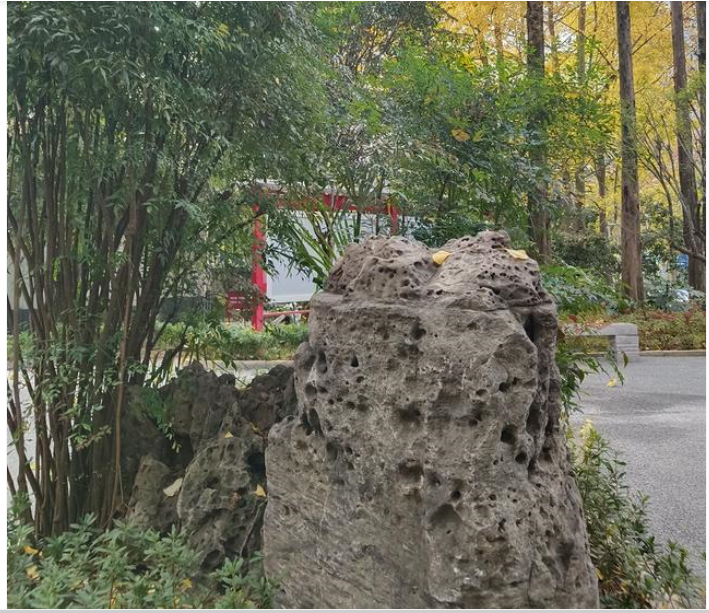 微信图片_20241217101703 微信图片_20241217101703