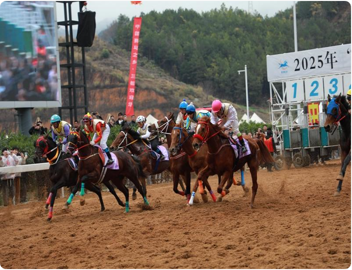 微信图片_20250228110503 微信图片_20250228110503