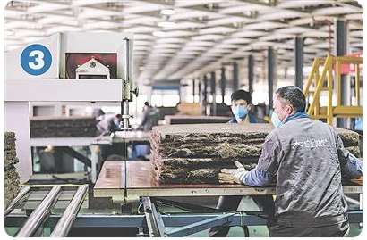 微信图片_20250326104808 微信图片_20250326104808