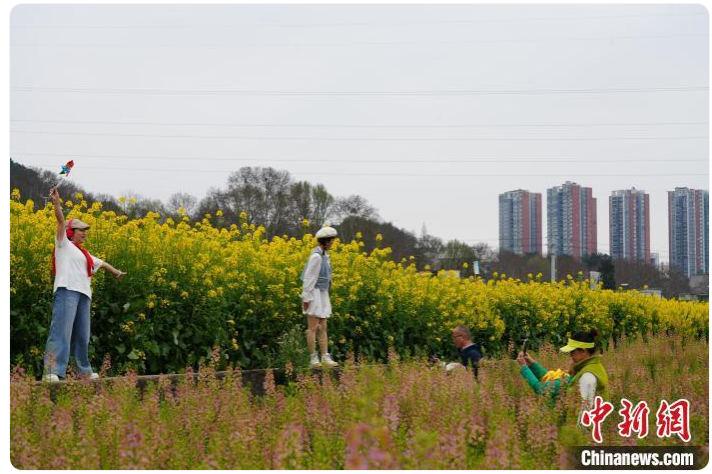 微信图片_20250326110035 微信图片_20250326110035