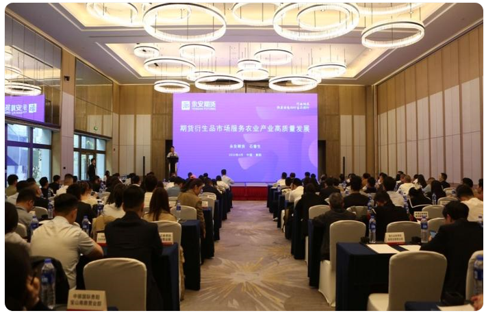 微信图片_20250423122951 微信图片_20250423122951