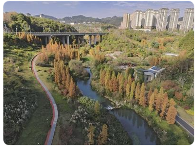  贵阳贵安：以高水平开放助推高质量发展