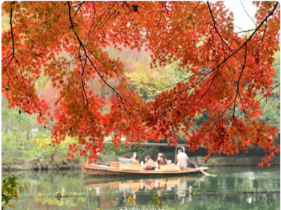 贵阳市1至10月经济运行情况发布