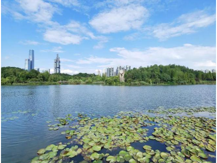 中国3分钟 | 中国生态模板：“爽爽贵阳”让绿水青山变成金山银山